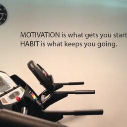Motivation Is What Gets You Going. Habit Keeps Wall Decor Vinyl Decal Gym Workout Quote 20 - thumbnail 3