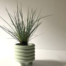 "Pastel Green ""Coiled" - thumbnail 2