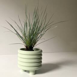"Pastel Green ""Coiled" - thumbnail 3