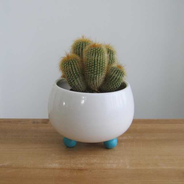 Blue Footed Pottery Succulent Planter Handmade Modern White Cactus Pot With Drainage - image 1