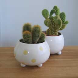Blue Footed Pottery Succulent Planter Handmade Modern White Cactus Pot With Drainage - thumbnail 4