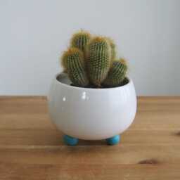 Blue Footed Pottery Succulent Planter Handmade Modern White Cactus Pot With Drainage - thumbnail 3