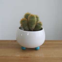 Blue Footed Pottery Succulent Planter Handmade Modern White Cactus Pot With Drainage - thumbnail 1