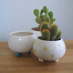 Blue Footed Pottery Succulent Planter Handmade Modern White Cactus Pot With Drainage - thumbnail 2