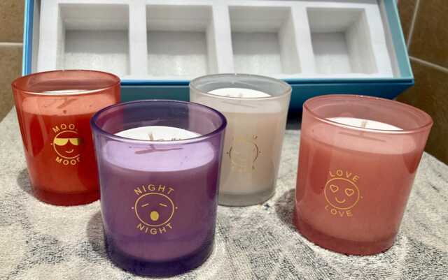Scented Soy Wax Candle Gift Set Nature Inspired Fragrances - image 1