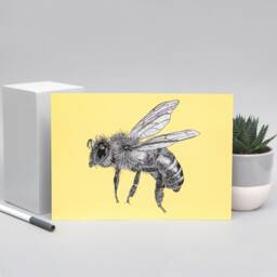 Honey Bee A4 Art Print in Yellow // Bee Wall Art, Colourful Animal Pen Drawing, Wildlife Lover Gifts - thumbnail 3