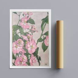 Prairie Rose Floral Art Print By Hannah Borger Overbeck - 1913 - thumbnail 3