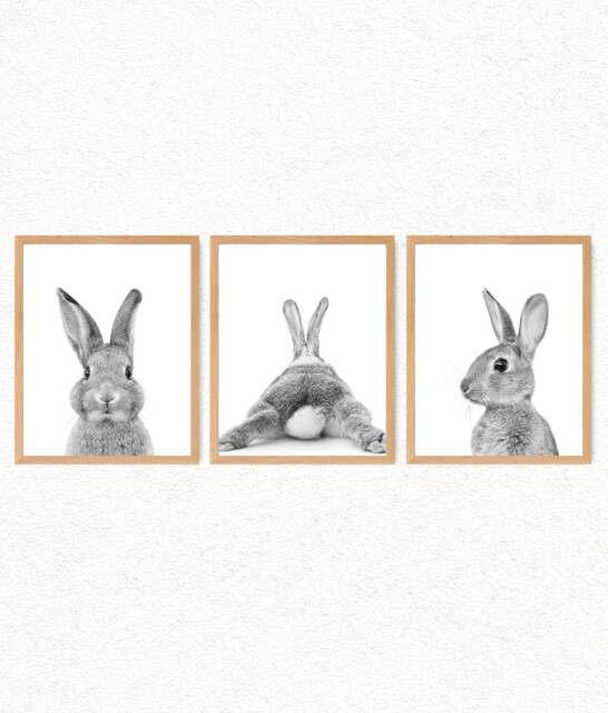Baby Bunny Prints Set Woodland Nursery Wall Art - image 1