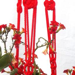 Red Macrame Plant Hanger 36 Inches 3mm Hanging Planter Wall Hanging Pattern Flower Pot Window Decoration Indoor Or Outdoor Decor - thumbnail 3
