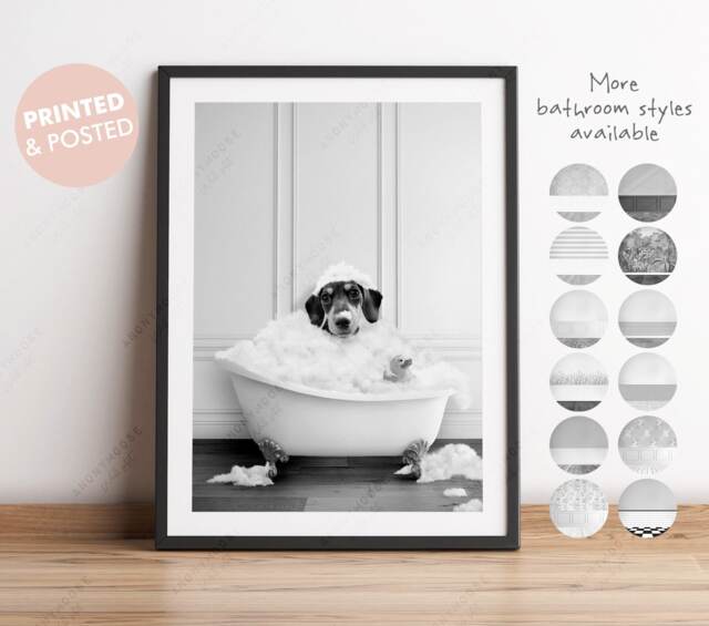 Black & White Dachshund Sausage Dog in A Bath Print, Wiener Bathing, Funny Bathroom Animal Bathtub, Tub Whimsy - image 1