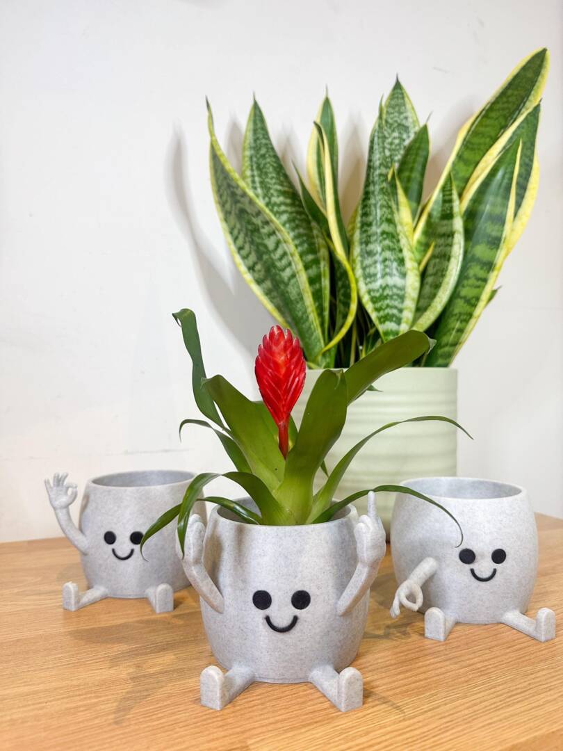 Large Happy Face Succulent Planter - Funny Plant Pot Cheeky Middle Finger  Gift Modern Home Decor - Sustainable Eco-Friendly Materials by Etsy |  uFurnish.com