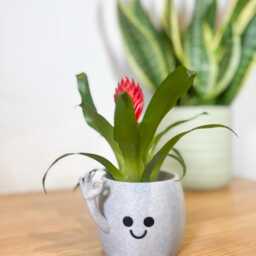 Large Happy Face Succulent Planter - Funny Plant Pot Cheeky Middle Finger Gift Modern Home Decor - Sustainable Eco-Friendly Materials - thumbnail 3