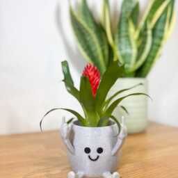 Large Happy Face Succulent Planter - Funny Plant Pot Cheeky Middle Finger Gift Modern Home Decor - Sustainable Eco-Friendly Materials - thumbnail 2