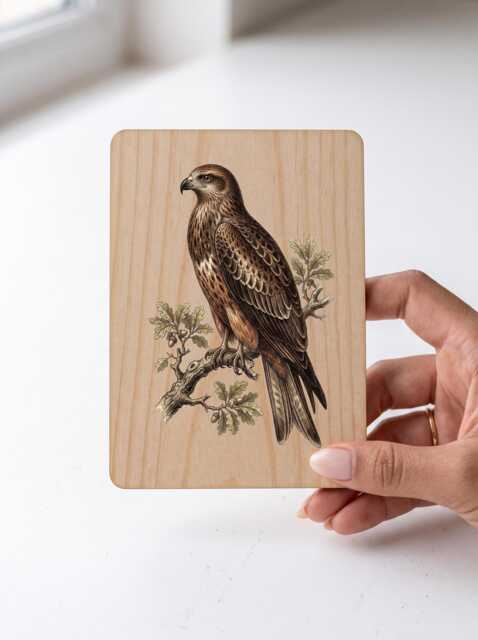 Black Kite Art Print - Vintage Illustration Bird Of Prey Pine Wooden Postcard Wall - image 1