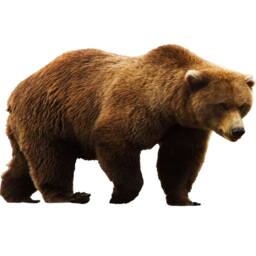 Grizzly Bear - Peel & Stick Sticker Brown Wall Art Decor Reusable Fabric Material Vwaq Pas11 - thumbnail 2