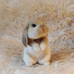 Custom Made Rabbit, Lifelike Felt Rabbit Seal Point Dwarf Lop, Holland Or Any Other Breed - thumbnail 4