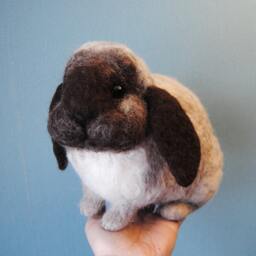 Custom Made Rabbit, Lifelike Felt Rabbit Seal Point Dwarf Lop, Holland Or Any Other Breed - thumbnail 3