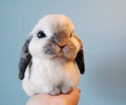 Custom Made Rabbit, Lifelike Felt Rabbit Seal Point Dwarf Lop, Holland Or Any Other Breed
