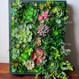 Faux Succulent 3D Wall Art Rustic Wood Framed Botanical Decor For Home Or Business - thumbnail 4