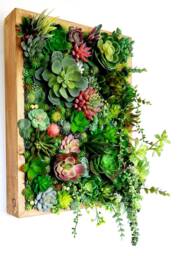 Faux Succulent 3D Wall Art Rustic Wood Framed Botanical Decor For Home Or Business - thumbnail 1