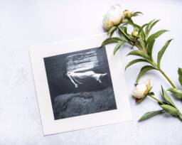 Photo Print With Passe-Partout Toni Frissell Weeki Wachee Spring, Florida, 1947 - thumbnail 1