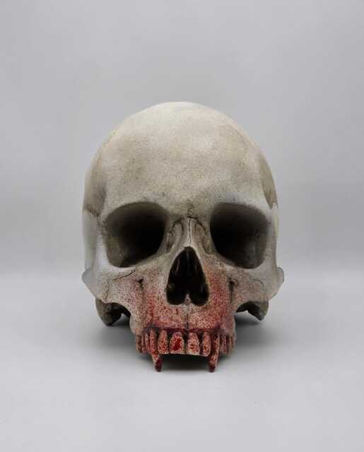My Bloody Vampire Skull .plaster Of Paris Life Size Human Replica - image 1