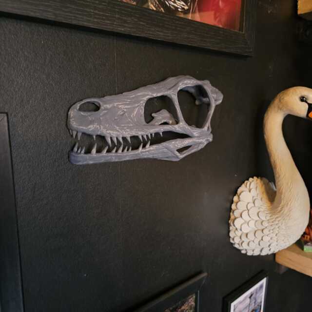 Velociraptor Half Skull Wall Decor - Dinosaur Home Decor 3D Printed - image 1