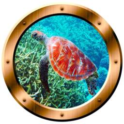Sea Turtle Wall Art - Coral Reef 3D Porthole Vinyl Decal Nursery Decor Peel & Stick Stickers For Kids - Vwaq Bp31 - thumbnail 2