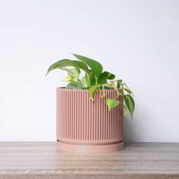 "Mid-Century Modern Planter With Drainage & Saucer in Country Pink, Unique 3D-Printed Plant Pot, Sizes 4"" 5"" 6"" 7"" 8" - thumbnail 2