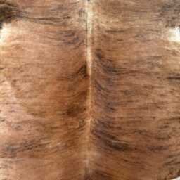 Medium/Large Sized Brindle Genuine Cowhide Rug, Hair On Hide Sold As Seen - thumbnail 4