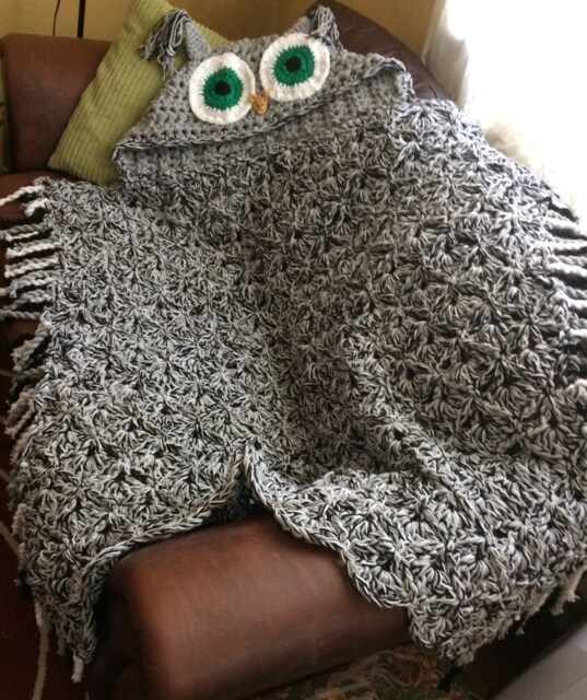 Crochet Owl Hooded Blanket, Chunky Throw, Cosy Cuddle Gift - image 1