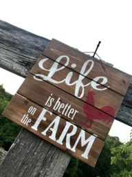 Custom Personalized Hand Painted Rustic Farm Life Wall Hanging - thumbnail 1