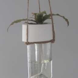 Upcycled Minimalist Wine Bottle Cement Twine Hanging Planter Self-Watering - thumbnail 2