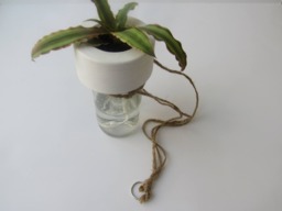 Upcycled Minimalist Wine Bottle Cement Twine Hanging Planter Self-Watering - thumbnail 1