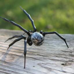 Glass Figurine Garden Spider, Blown Handblown Glass Animal Figurine, Insect, Murano - thumbnail 3
