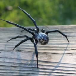 Glass Figurine Garden Spider, Blown Handblown Glass Animal Figurine, Insect, Murano - thumbnail 4