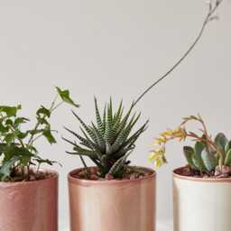 Set Of 3 Ceramic Planters, Boho Earth Tones Colors, Modern Plant Pottery Pot Vessel - thumbnail 2