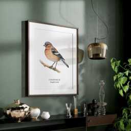 Bird Prints, Chaffinch Art Print, Garden Birds, Lover Gift Ideas, Watching, Illustration, Wall Decor, Home Decor Gifts - thumbnail 3