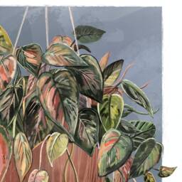 Hang in There Trailing House Plant Art Print/Greeting Card - thumbnail 3