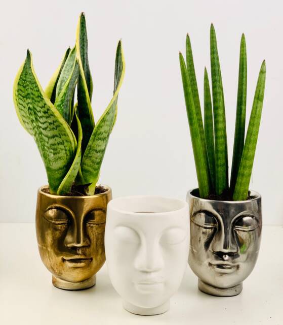 Face Silhouette Ceramic Planter - Gold, Silver, Copper, Grey & White - image 1