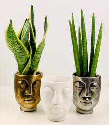 Face Silhouette Ceramic Planter - Gold, Silver, Copper, Grey & White