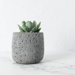 Volcanic Textured Concrete Plant Pot Handmade Succulent Planter - thumbnail 3