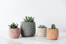 Volcanic Textured Concrete Plant Pot Handmade Succulent Planter