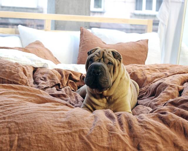 Tobacco Linen Duvet Cover European Bedding, King/Queen Sizes - image 1