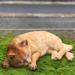 Stone Kitten Ornament Outdoor Sleeping Cat Statue Pet Memorial Figurine Concrete Ginger Sculpture Garden Kitty Decor Lover Gift - thumbnail 3