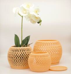 Alt?? Bomi Planter Designed For Orchids & Root Aeration - thumbnail 1