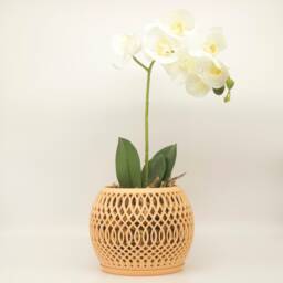 Alt?? Bomi Planter Designed For Orchids & Root Aeration - thumbnail 3