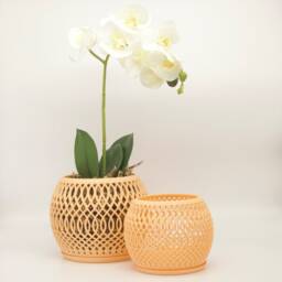 Alt?? Bomi Planter Designed For Orchids & Root Aeration - thumbnail 2