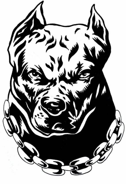 Staffy Dog Decal Vinyl Wall Art Sticker Staffordshire Bull Terrier Car Bonnet Side Graphic Pitbull Bulldog Xl Bully Camper Van Motorhome