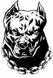 Staffy Dog Decal Vinyl Wall Art Sticker Staffordshire Bull Terrier Car Bonnet Side Graphic Pitbull Bulldog Xl Bully Camper Van Motorhome